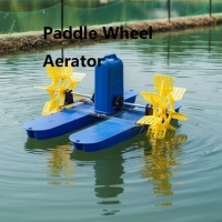 chinaa chinaa chinaa